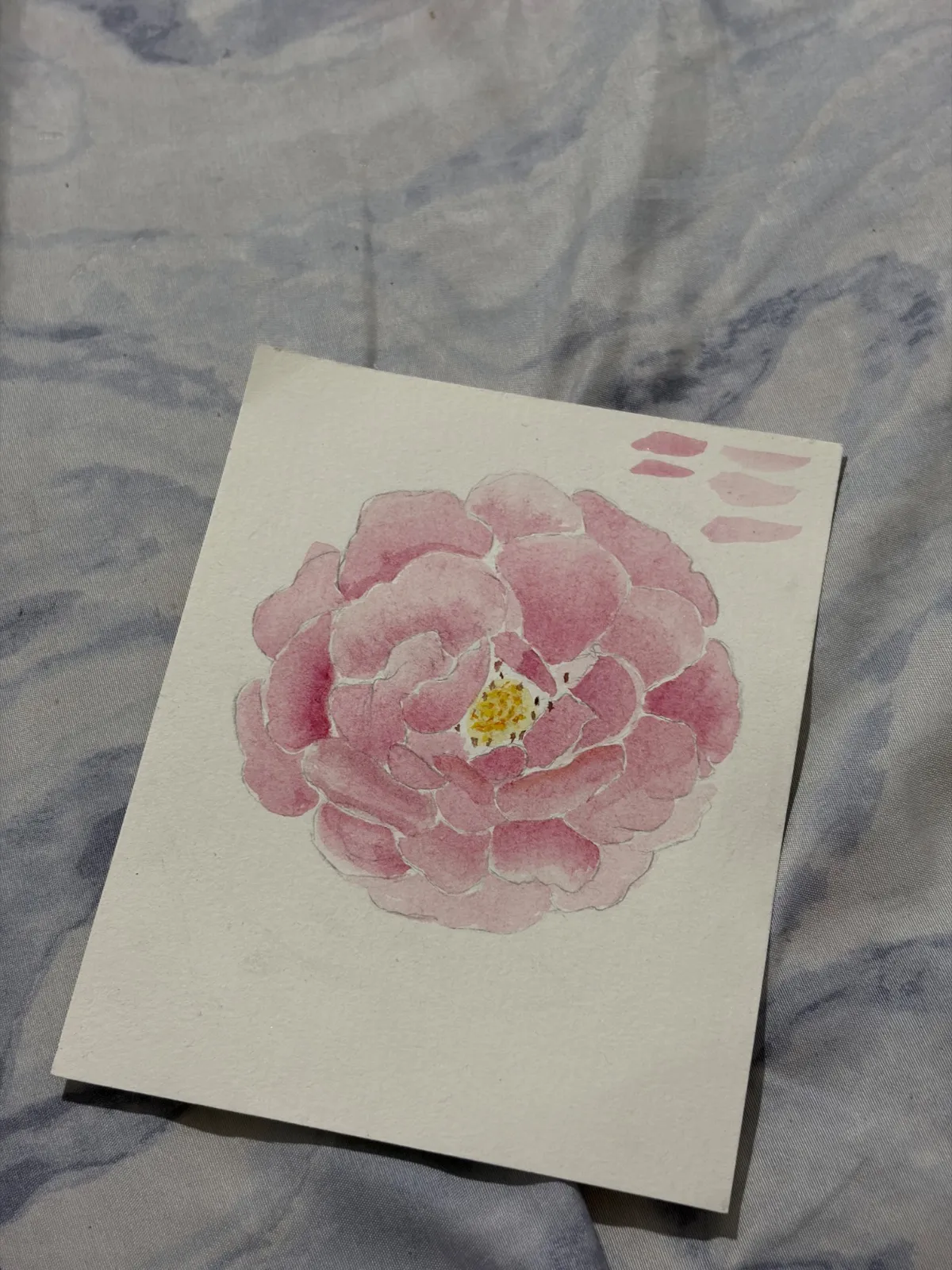 Off perspective rose