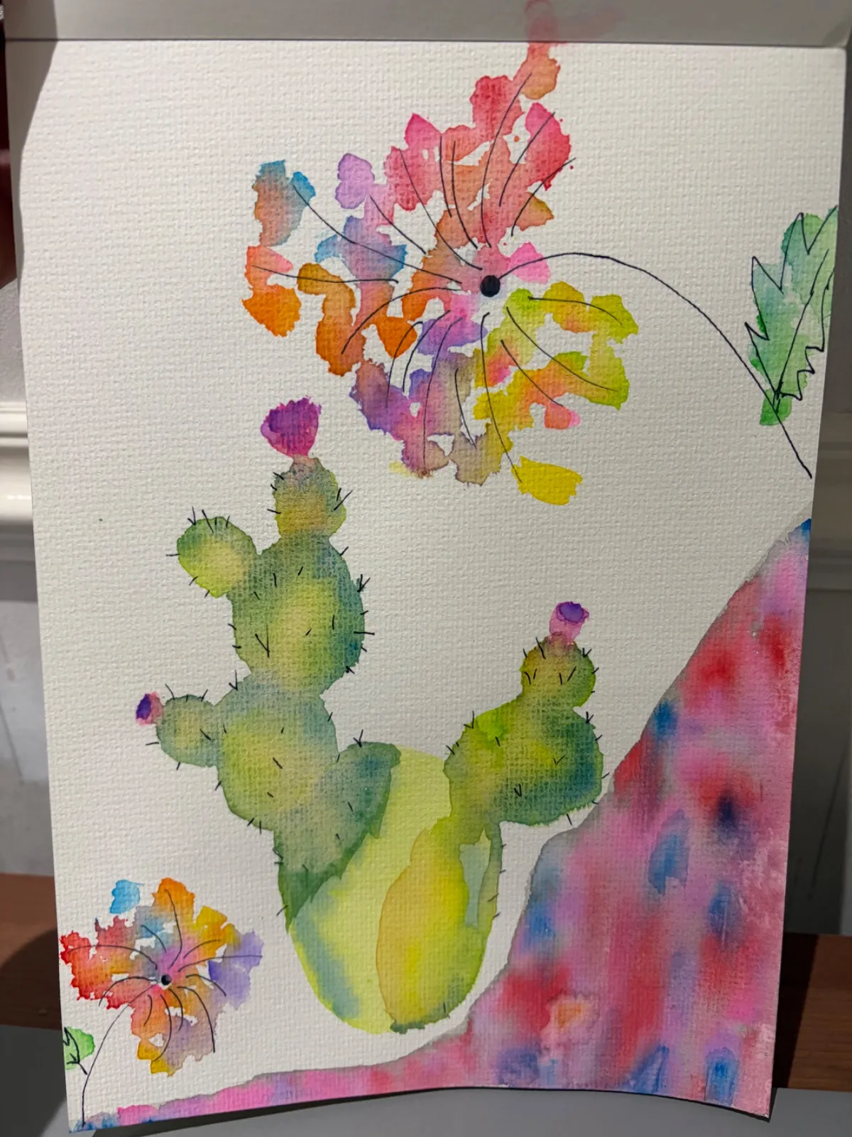 Cactus and rainbow dandelion