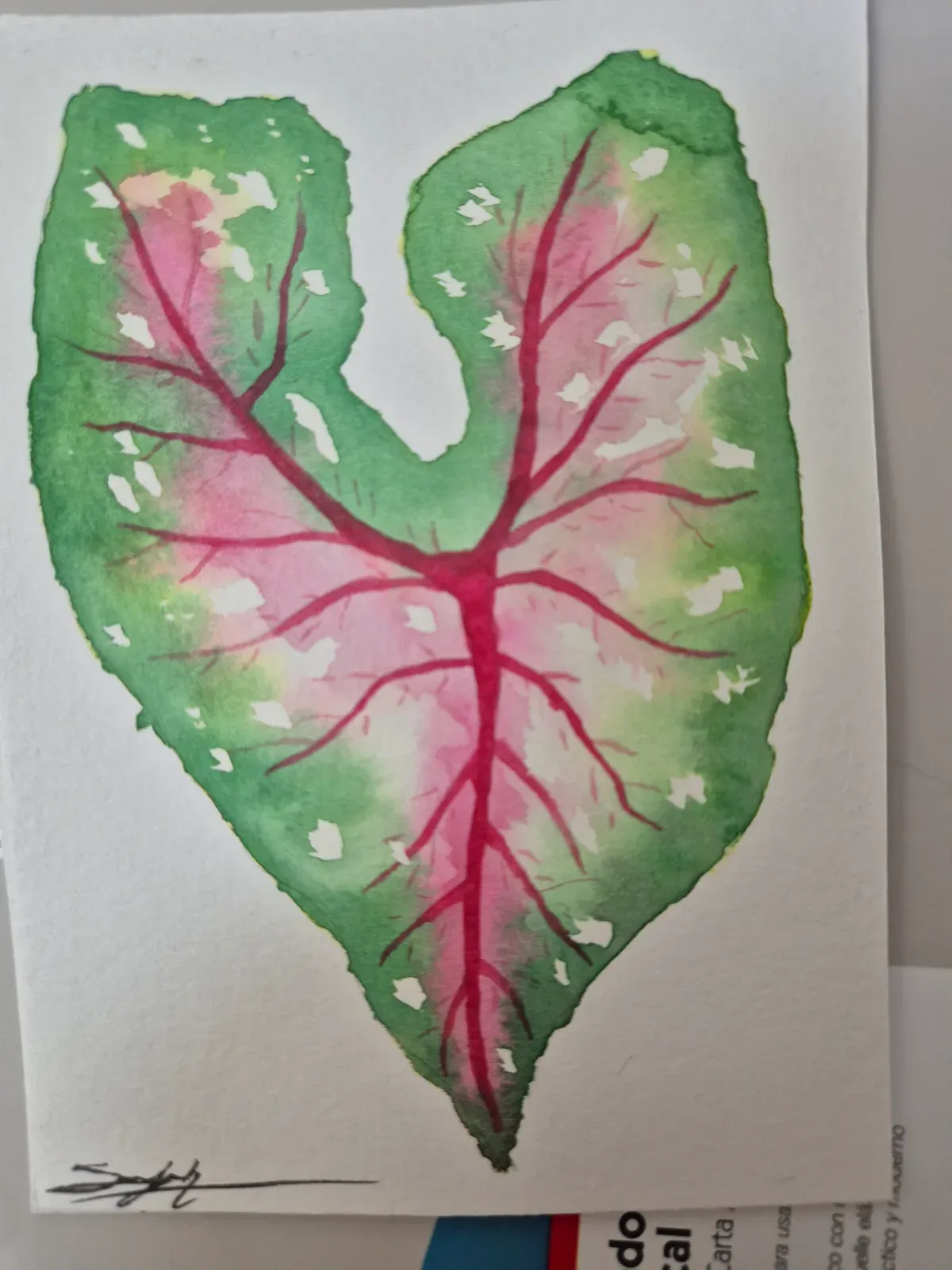 Leaf