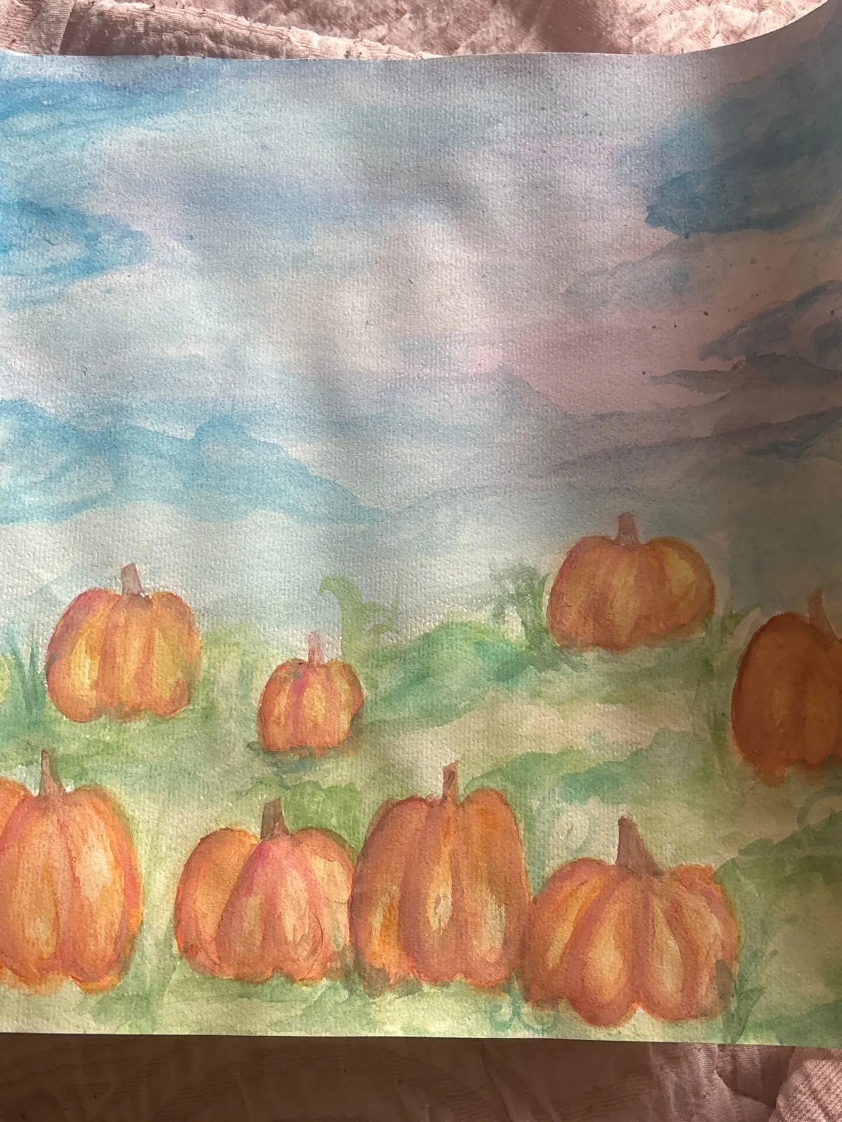 Pumpkin patch