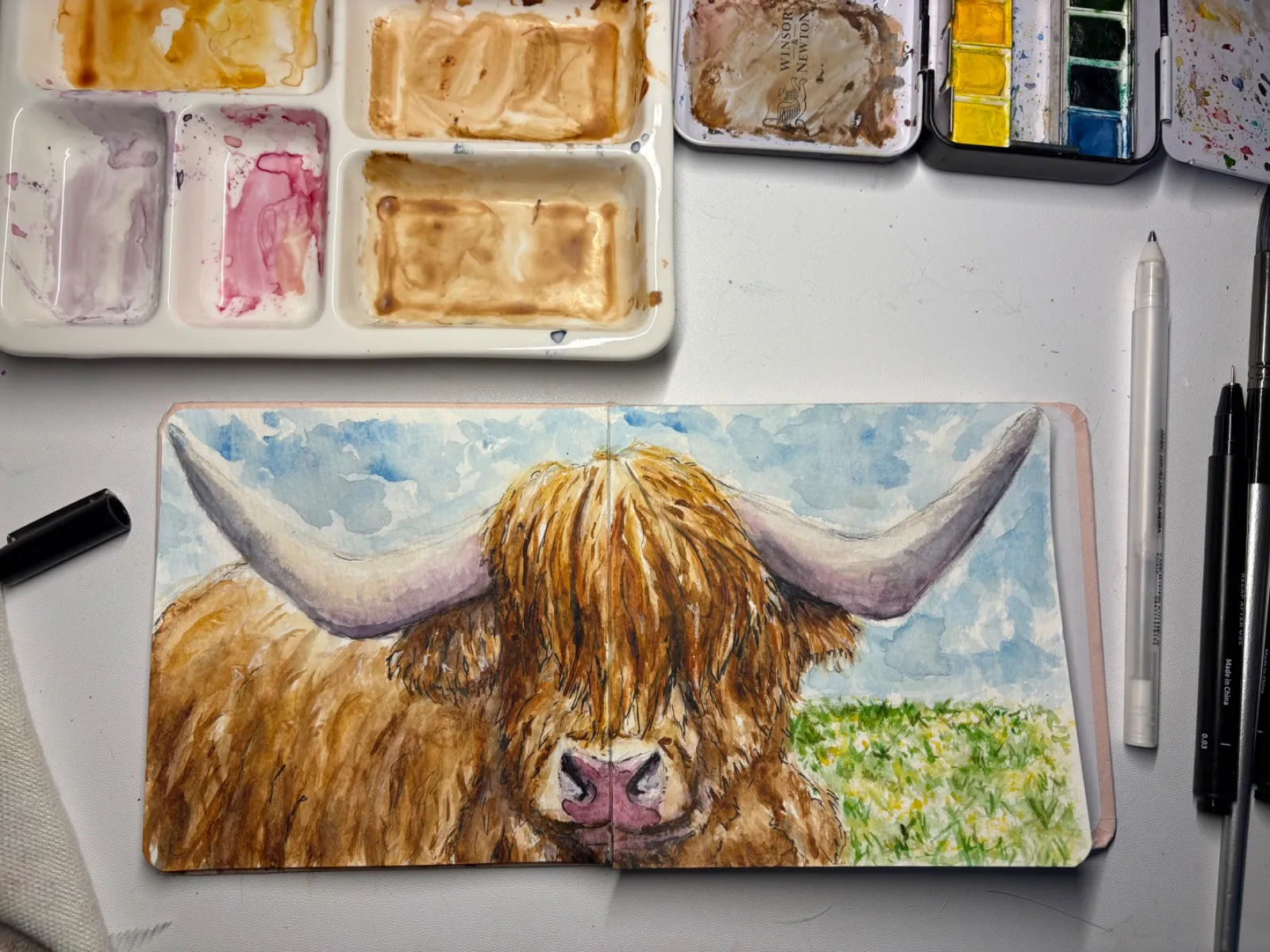 Highland Cow