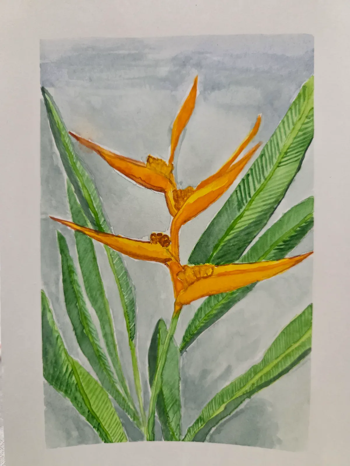 Flower in front of house