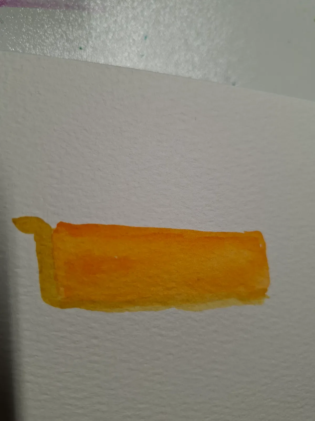 Pumpkin pie