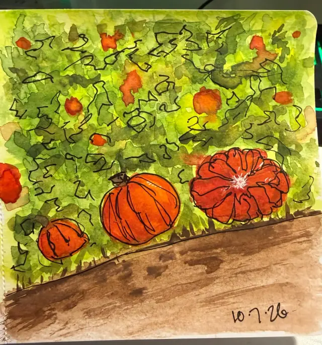 Patch o punkins