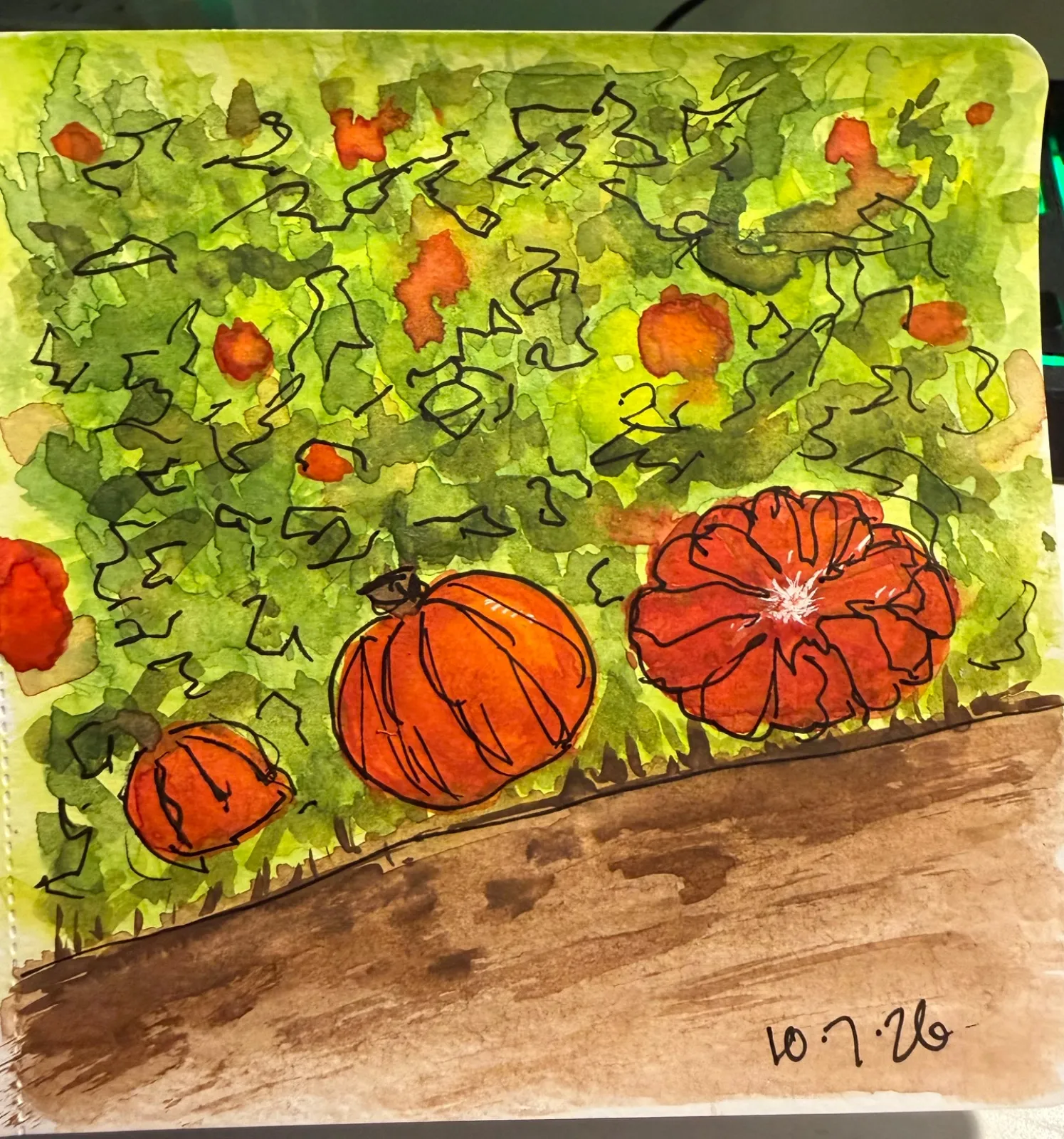 Patch o punkins