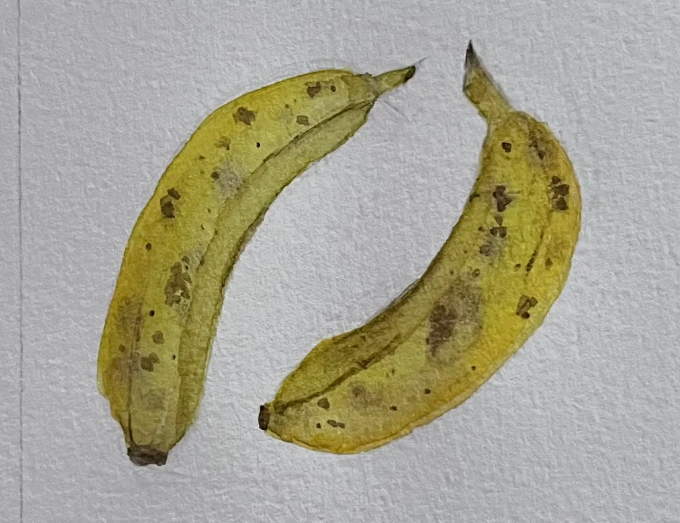 Day  8: Banana