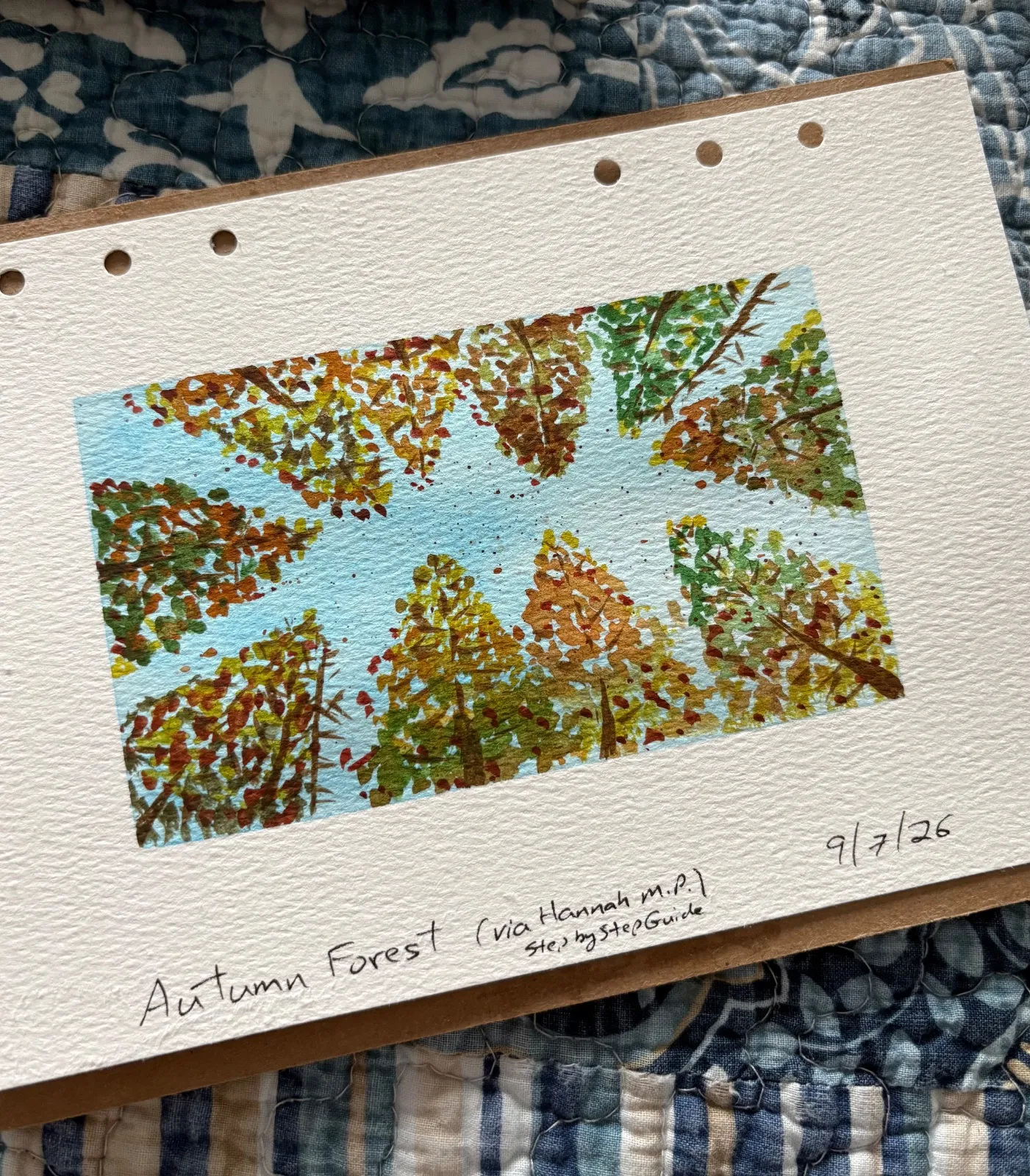 Autumn Forest