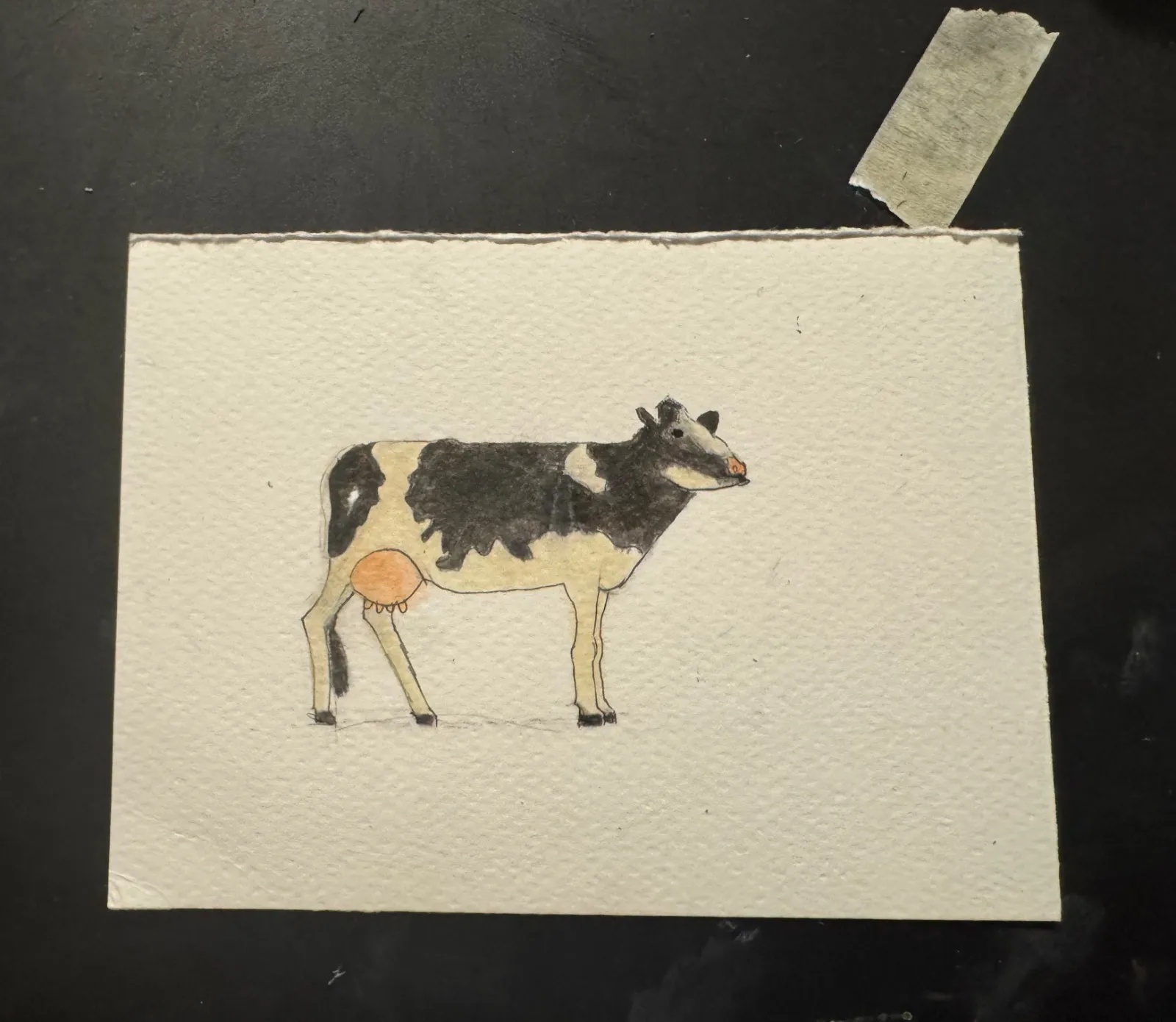 Cow