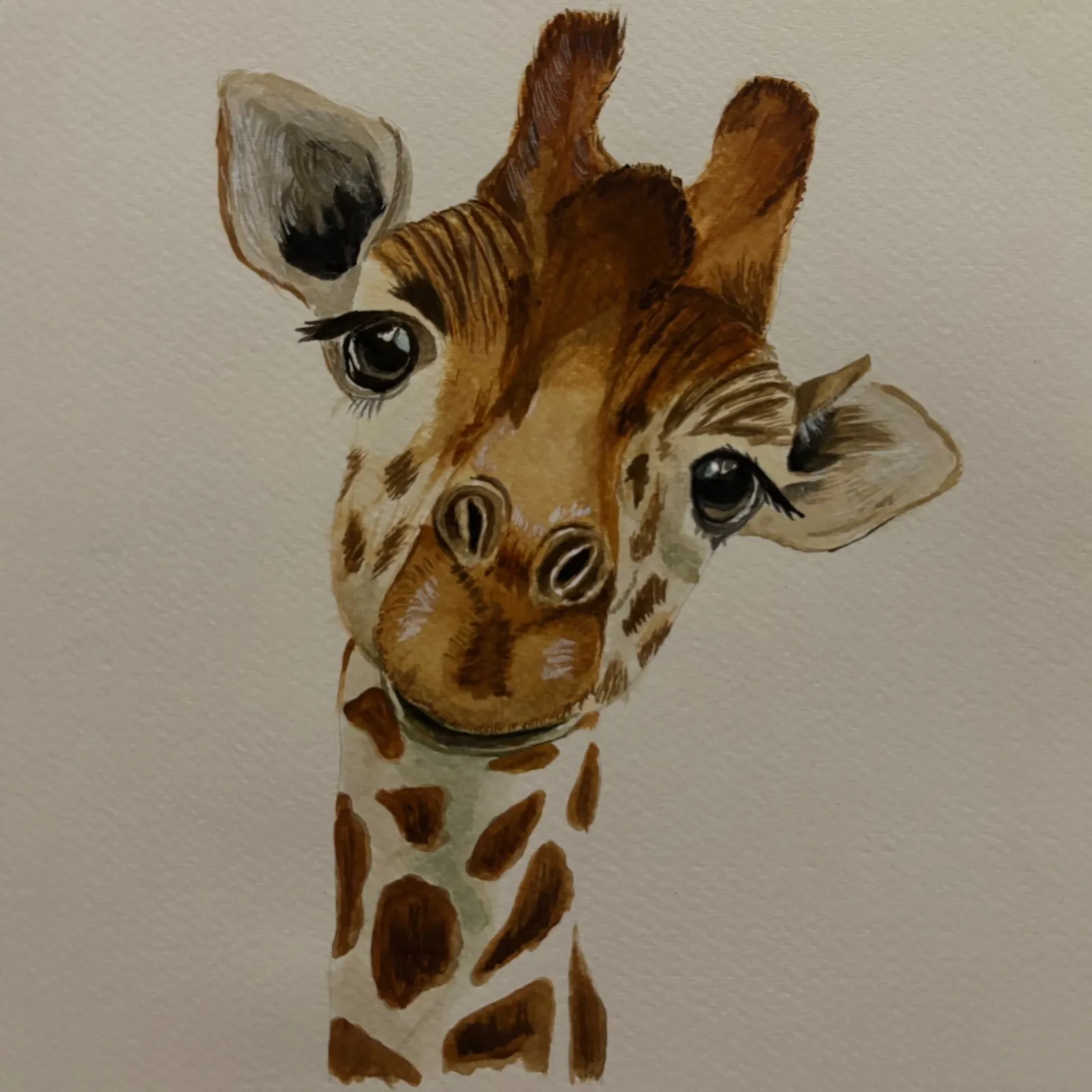 giraffe