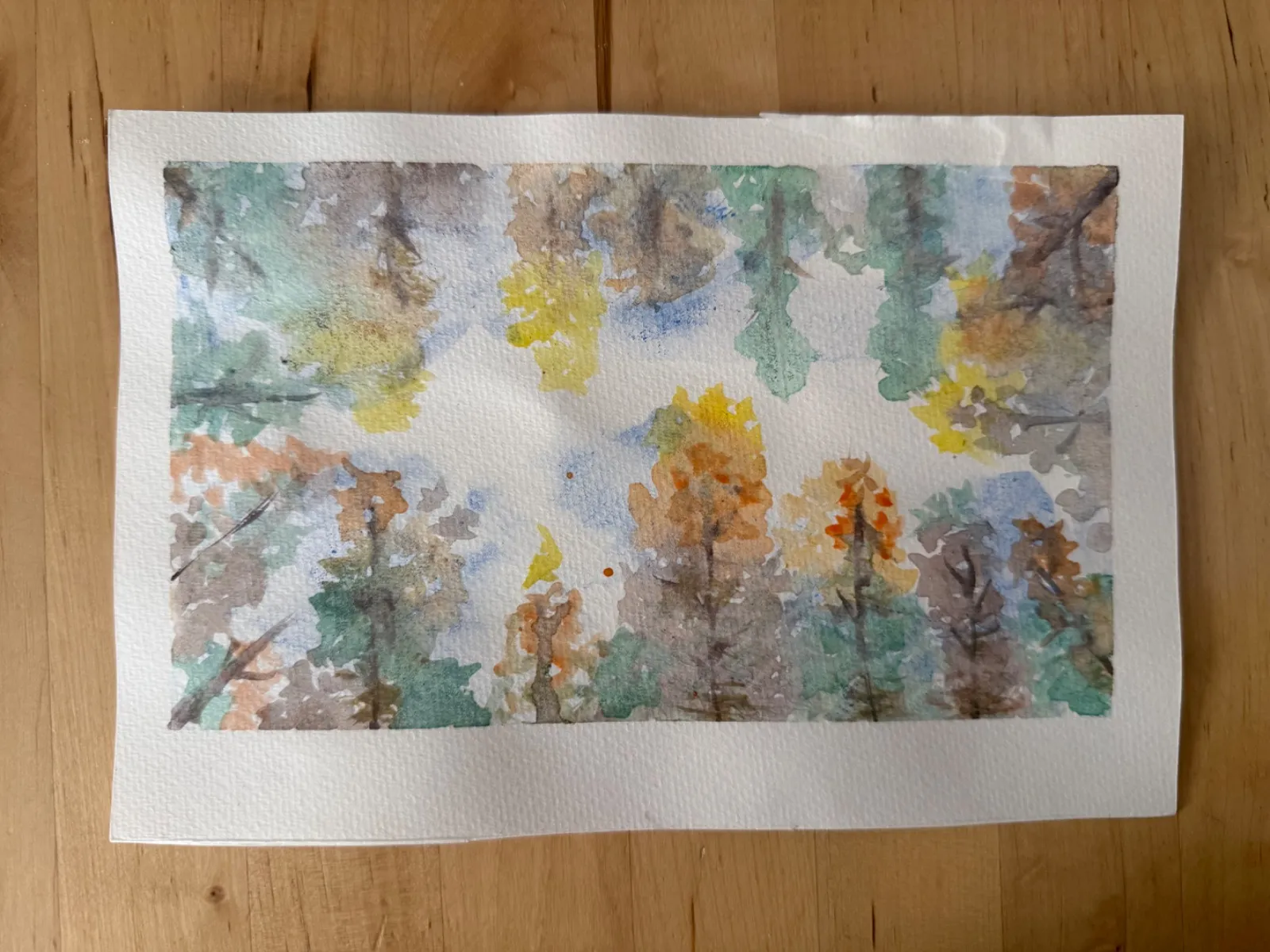 Trees