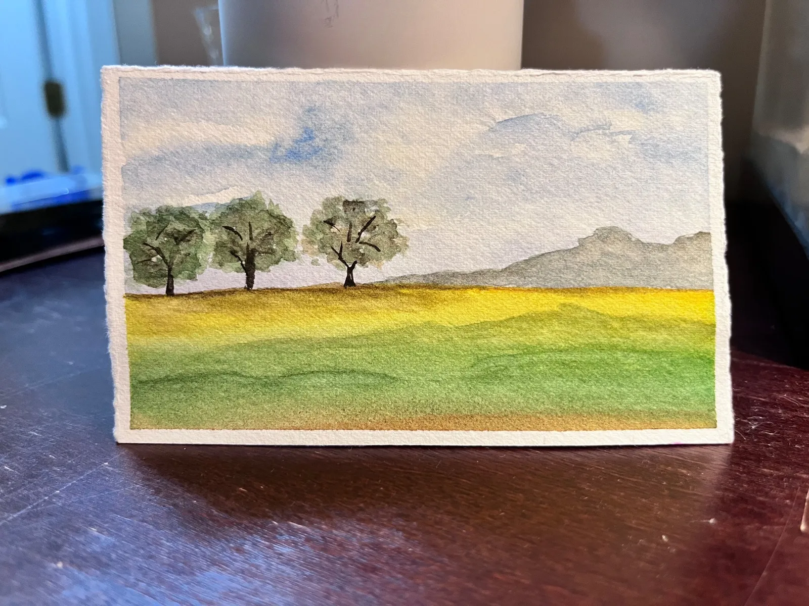 Day 10: Nature Park