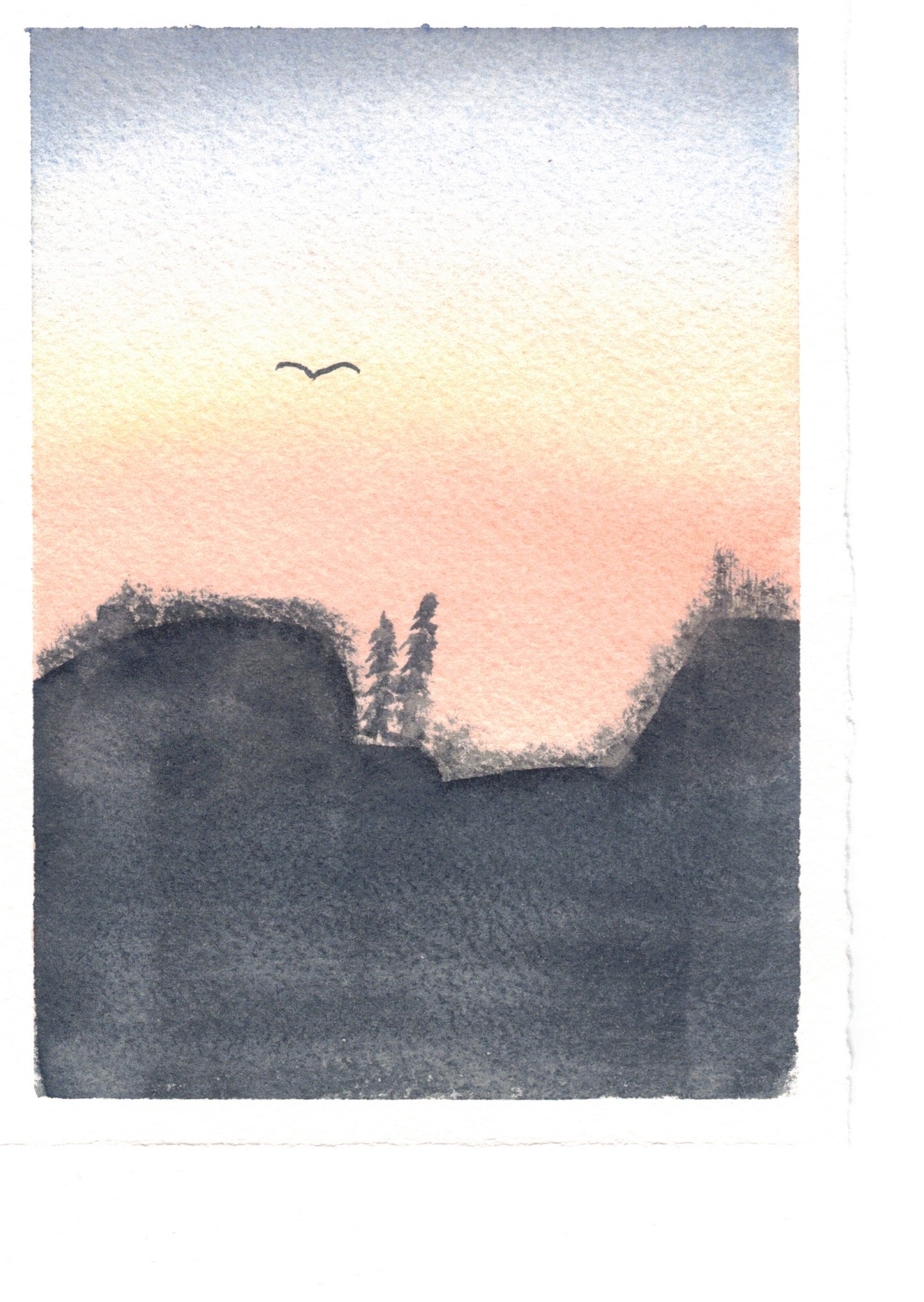 sunset with a bird