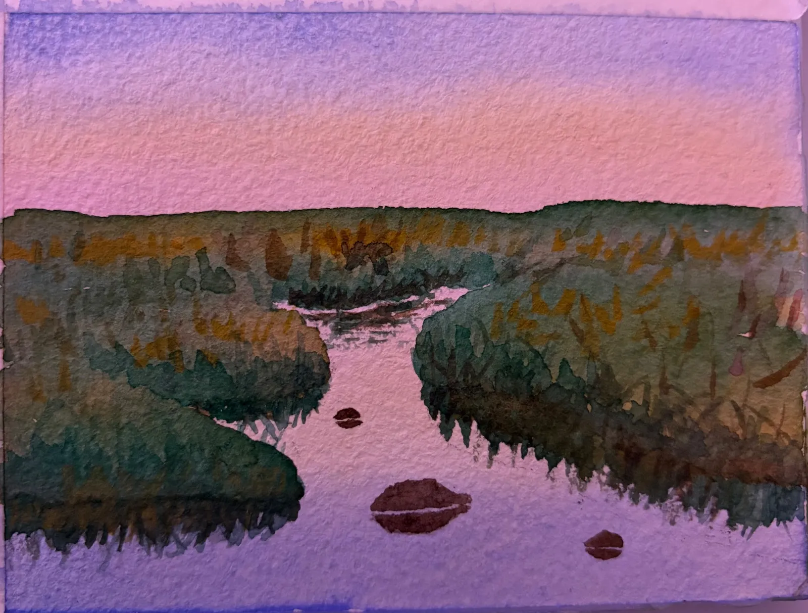 Marsh