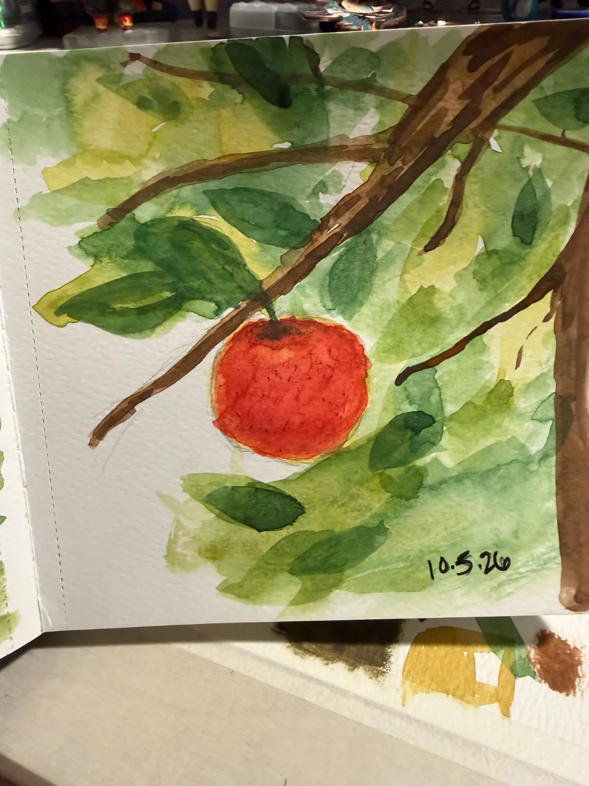 Apple on tree