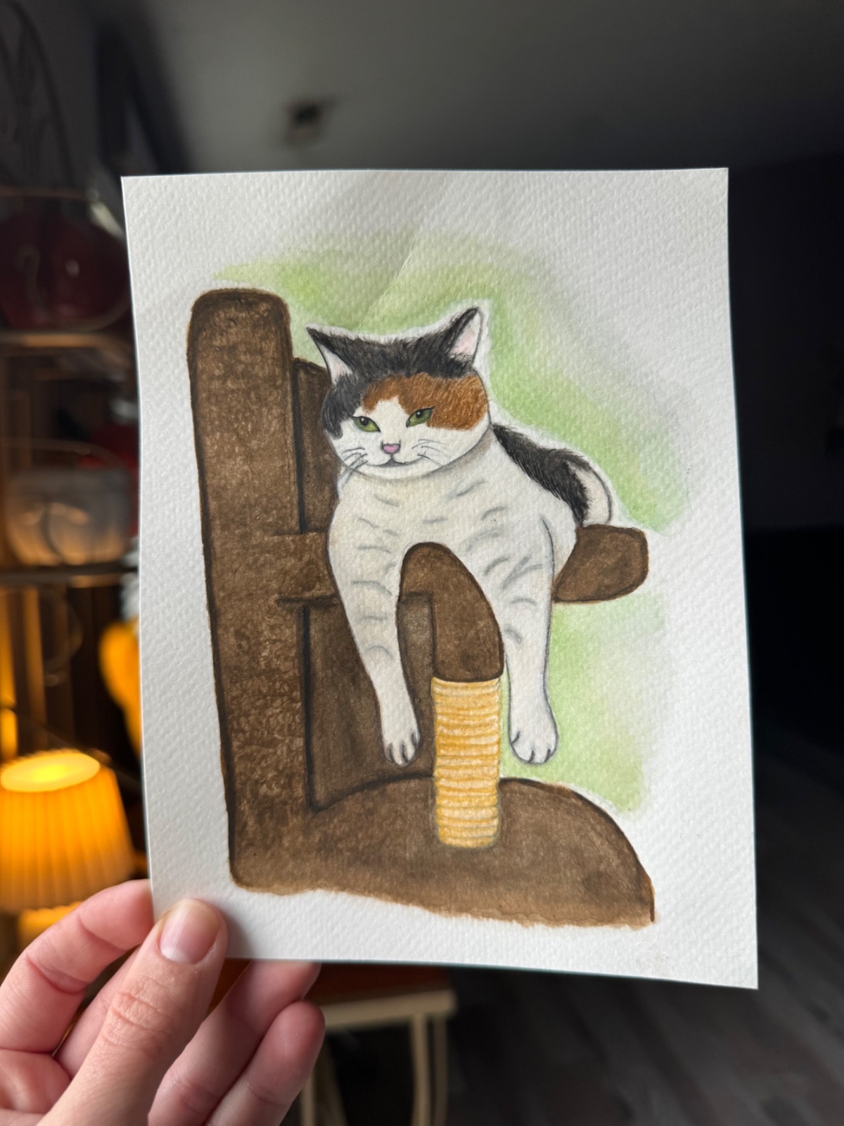 Millie the cat