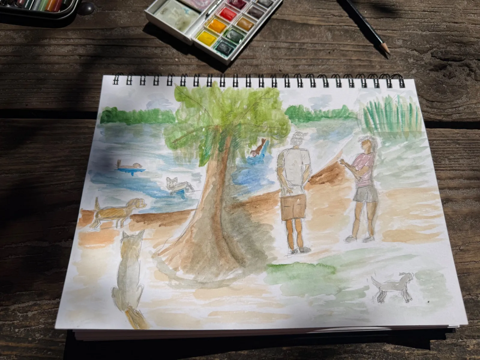 Dog park