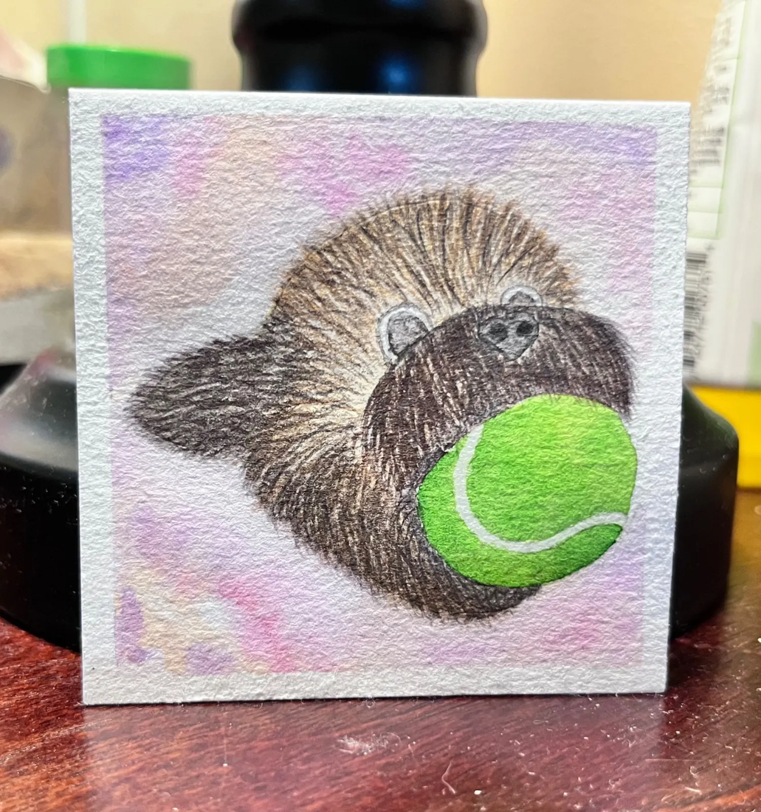 Day 16: Sports - Playing Fetch w/ Tennis Ball