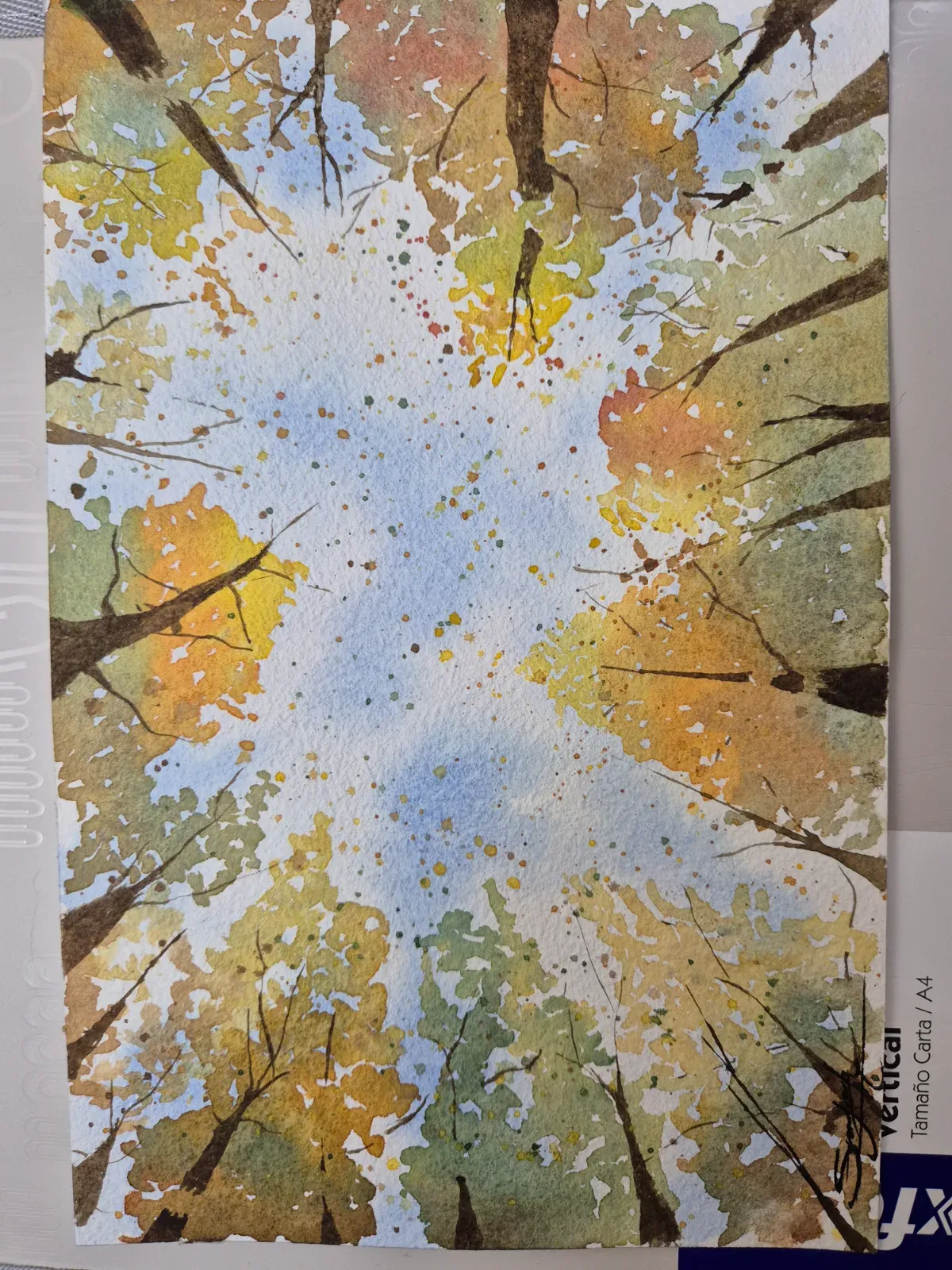 Fall