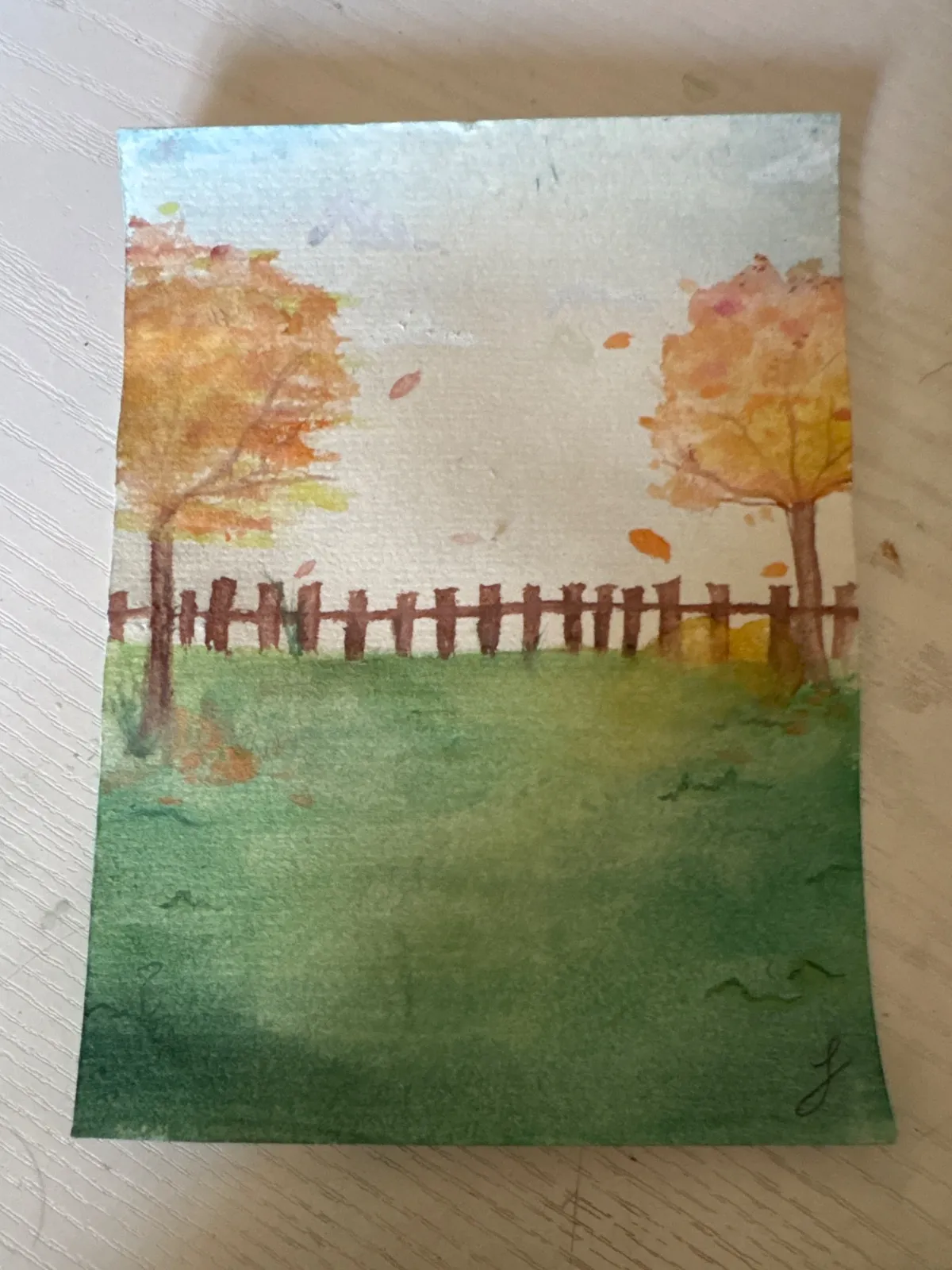 Autumn nature