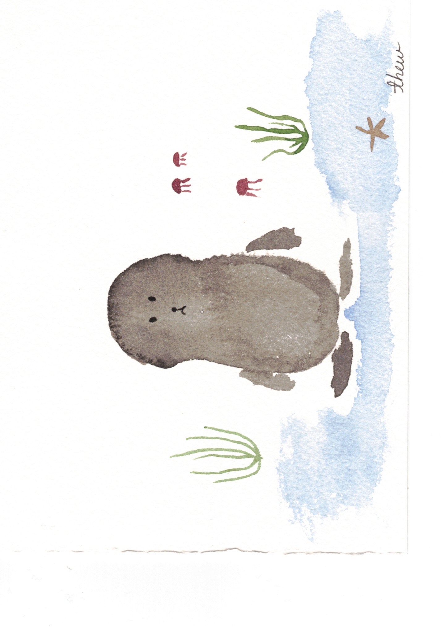 sad seal